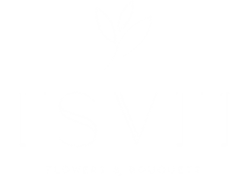 TSVIT