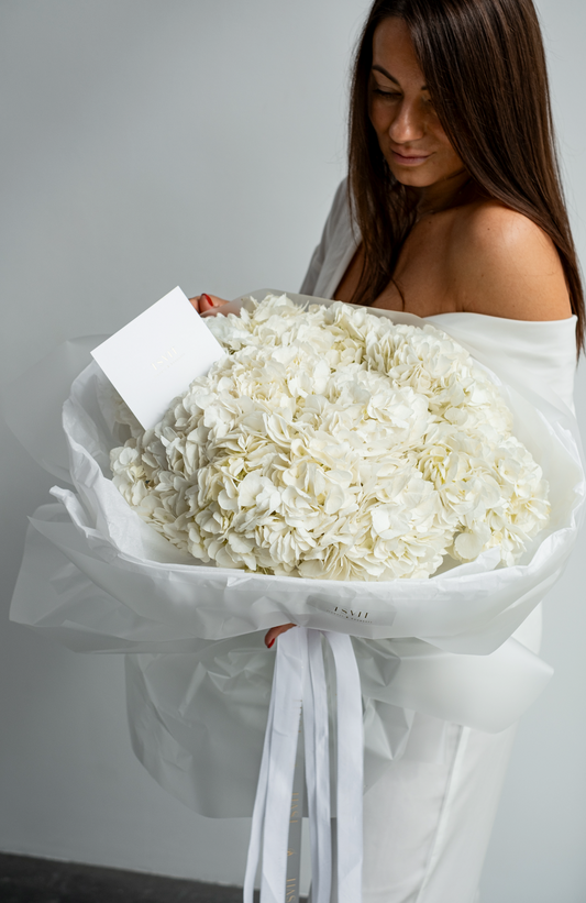 Hydrangea Embrace White (Copy)