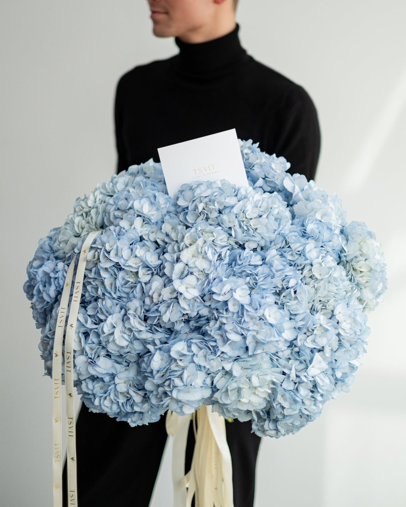 Hydrangea Embrance blue