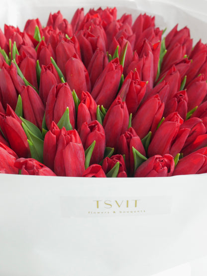 RED TULIPS