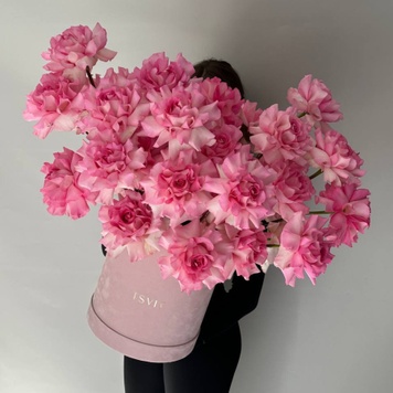 Arrangement of French upside-down roses in a velvet floral box